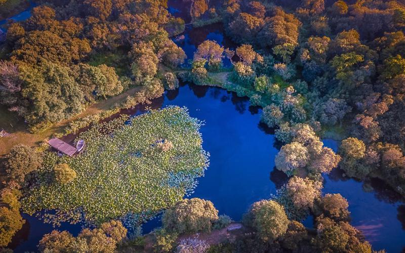 Trecombe Lakes Кембърн Екстериор снимка