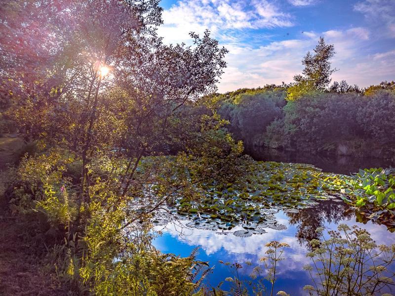 Trecombe Lakes Кембърн Екстериор снимка