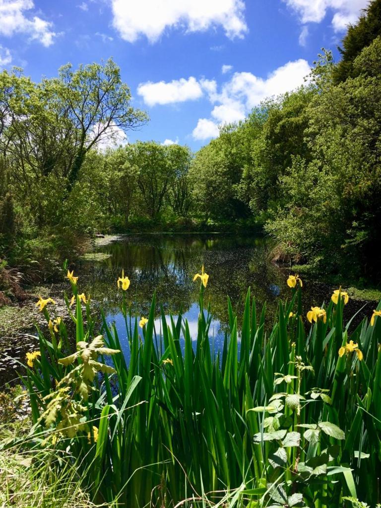 Trecombe Lakes Кембърн Стая снимка